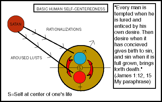 Animal Cell Diagram Labeled With Functions. Labeled Animal Cell Diagram